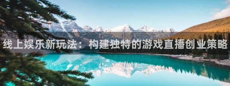 鼎点娱乐平台官网登录：线上娱乐新玩法：构建独特的游戏直播创业