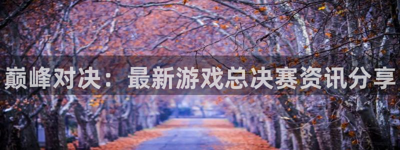 鼎点娱乐注册服务条款：巅峰对决：最新游戏总决赛资讯分享