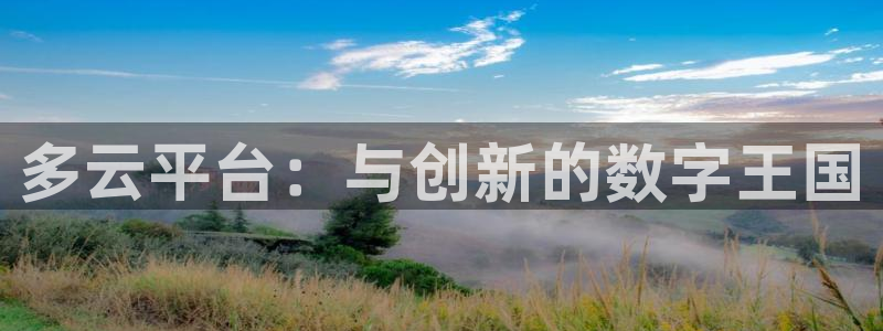 鼎点娱乐平台登录：多云平台：与创新的数字王国