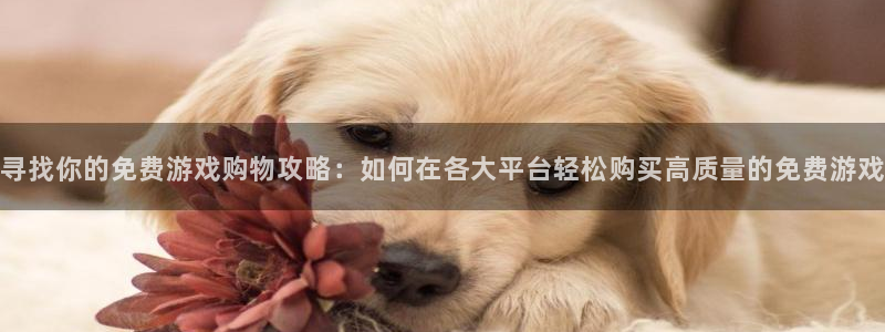 鼎点娱乐娱乐是真的吗：寻找你的免费游戏购物攻略：如何在各大平