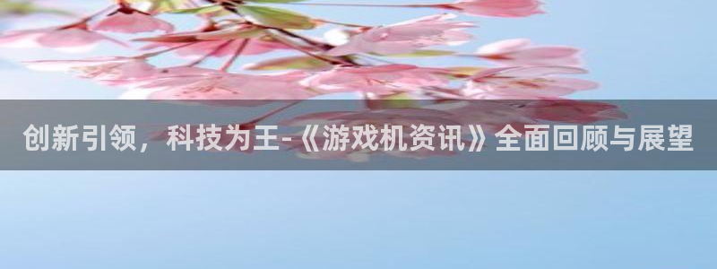 鼎点娱乐什么意思：创新引领，科技为王-《游戏机资讯》全面回顾