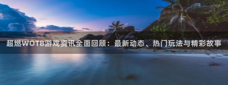 鼎点娱乐Ii：超燃WOTB游戏资讯全面回顾：最新动态、热门玩