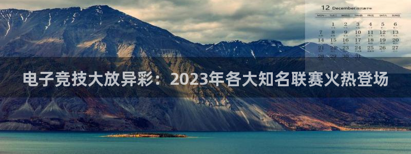 鼎点娱乐网页登录入口下载：电子竞技大放异彩：2023年各大知