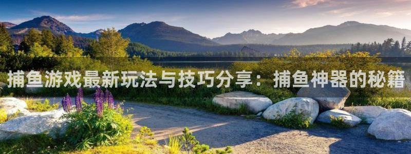 鼎点娱乐注册网站：捕鱼游戏最新玩法与技巧分享：捕鱼神器的秘籍