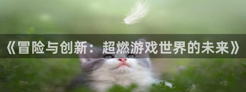 鼎点娱乐平台负责人：《冒险与创新：超燃游戏世界的未来》