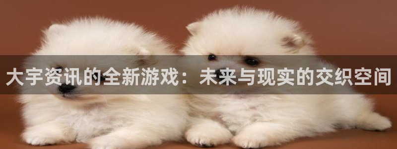 鼎点娱乐Ii：大宇资讯的全新游戏：未来与现实的交织空间