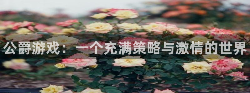 鼎点娱乐网址官网：公爵游戏：一个充满策略与激情的世界